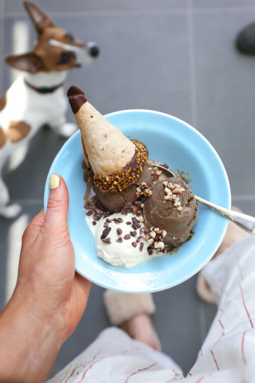 Homemade Ice Cream Cones Natural Born Feeder