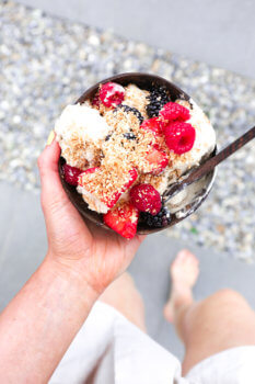 Homemade Coconut Ice Cream
